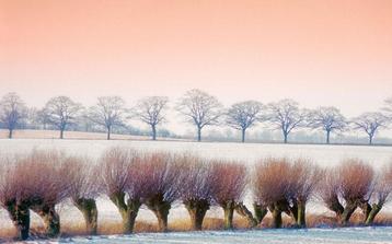 Stille Winterlandschaft