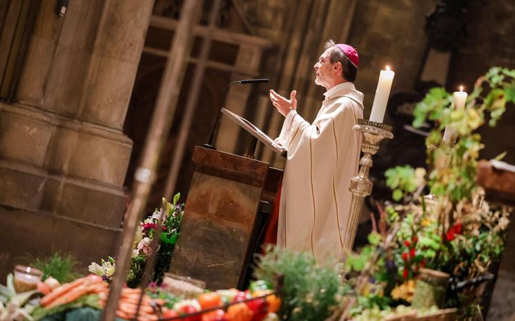 Predigt von Erzbischof Josef Grünwidl bei der Transitus-Feier zum 800. Todestages des Hl. Franziskus, am 3. Oktober 2026 im Stephansdom.