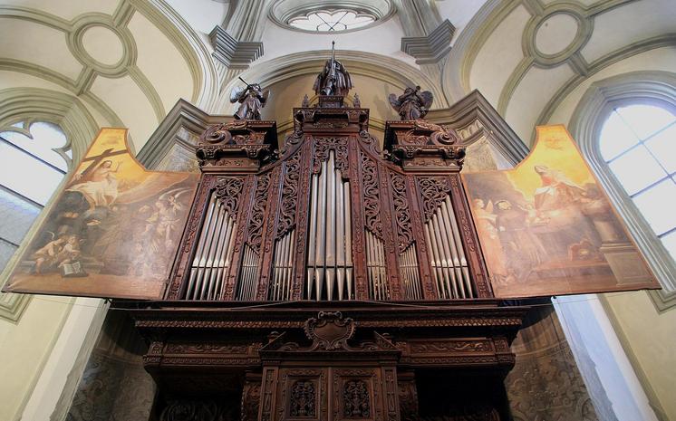© C.Stadler/Bwag