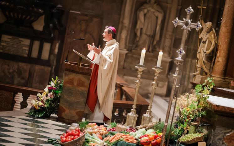 Predigt von Erzbischof Josef Grünwidl bei der Transitus-Feier zum 800. Todestages des Hl. Franziskus, am 3. Oktober 2026 im Stephansdom.